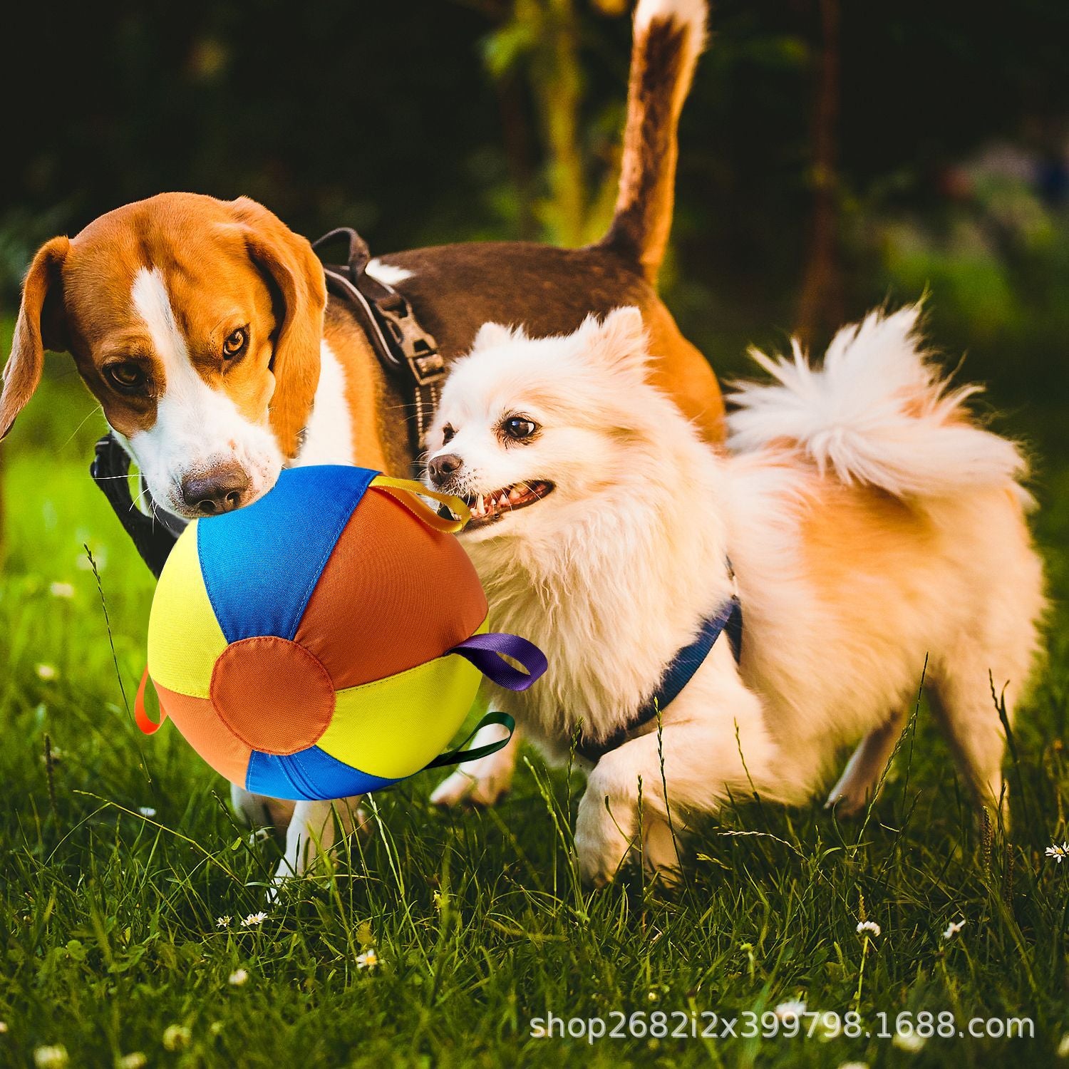Sheep, horse and dog grazing balls - Durable solid-color polyester inflatable training and exercise toys, pet play balls