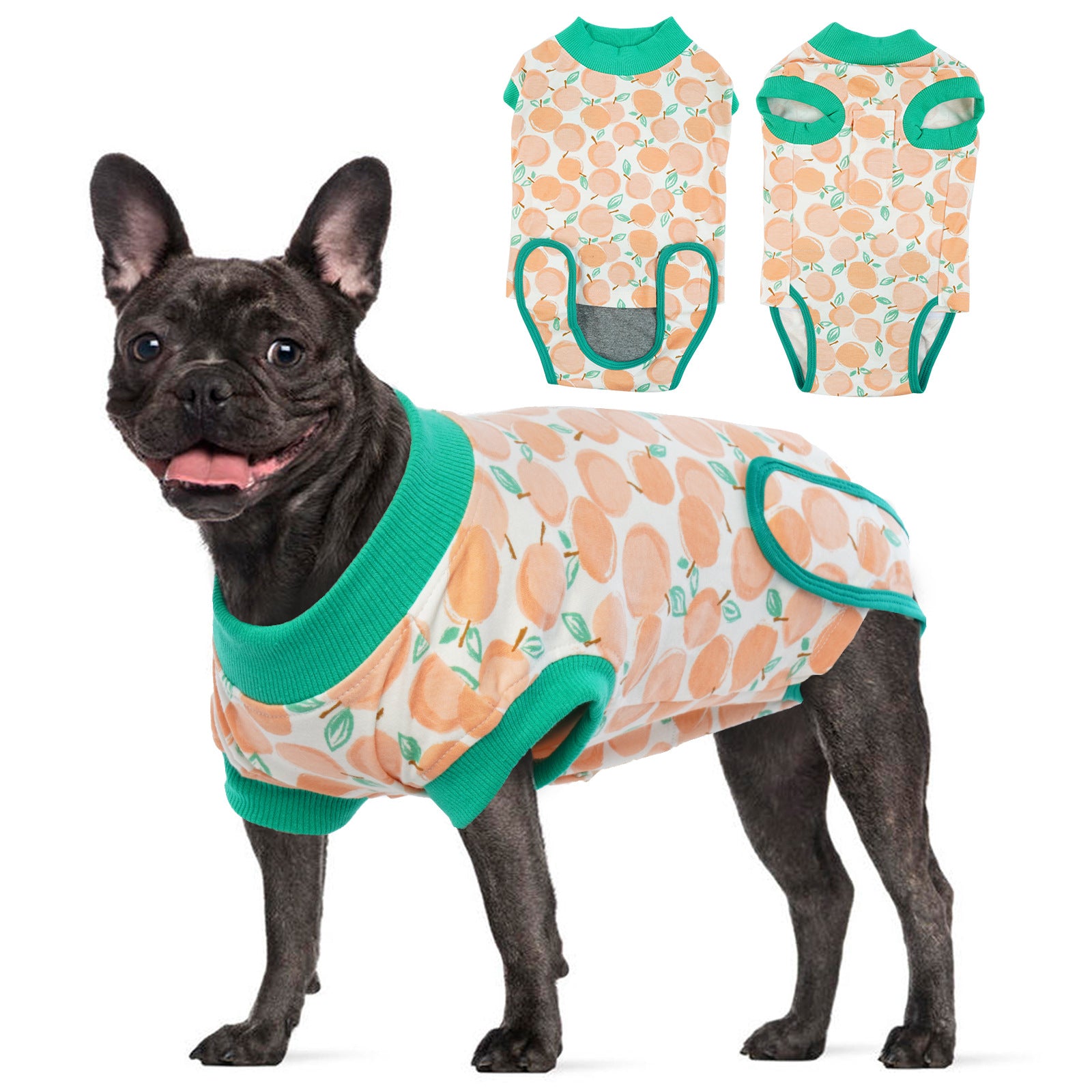 Postoperative recovery clothing for dogs, surgical rehabilitation clothing for female dogs, pet sterilition clothing, care clothing, and postoperative care
