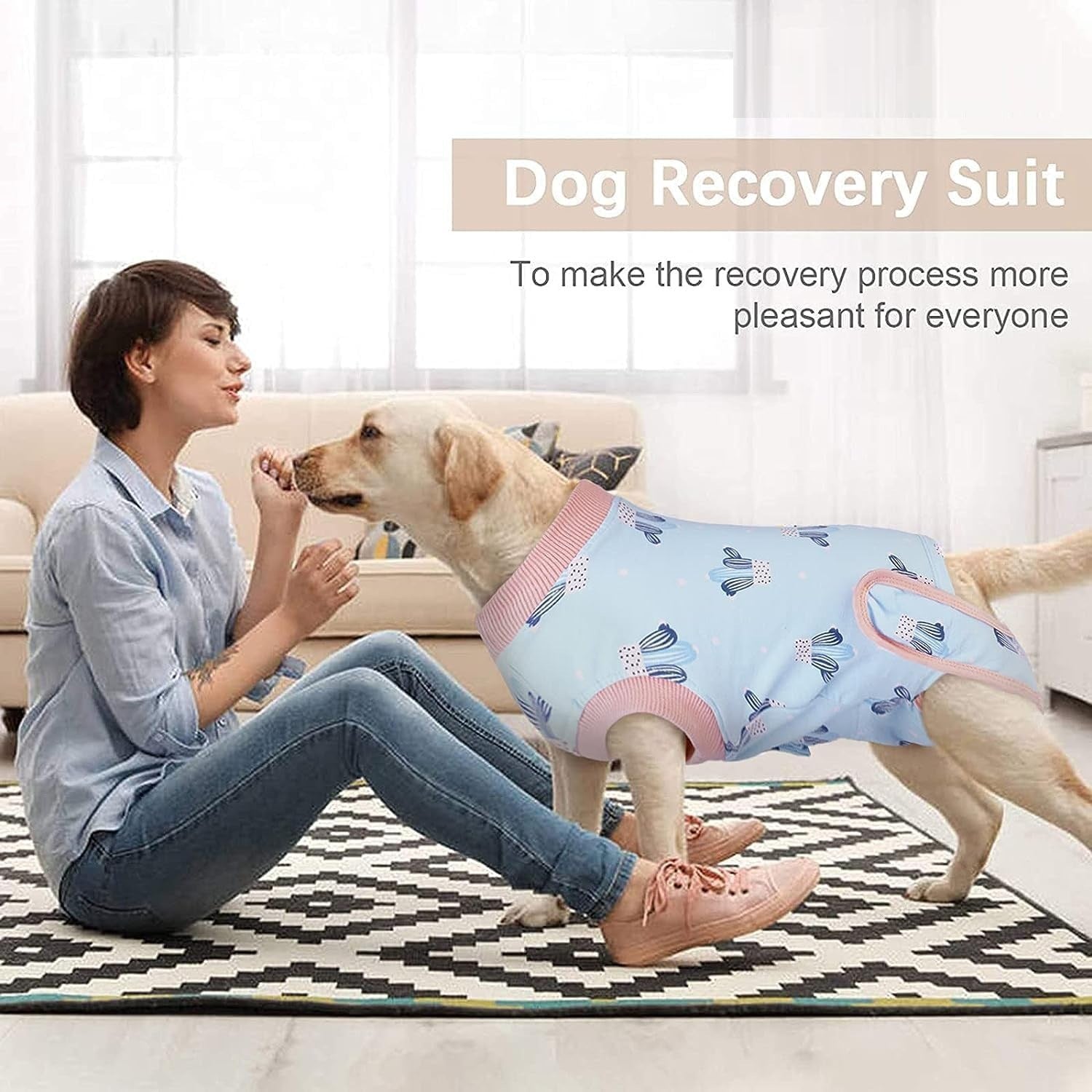 Postoperative recovery clothing for dogs, surgical rehabilitation clothing for female dogs, pet sterilition clothing, care clothing, and postoperative care